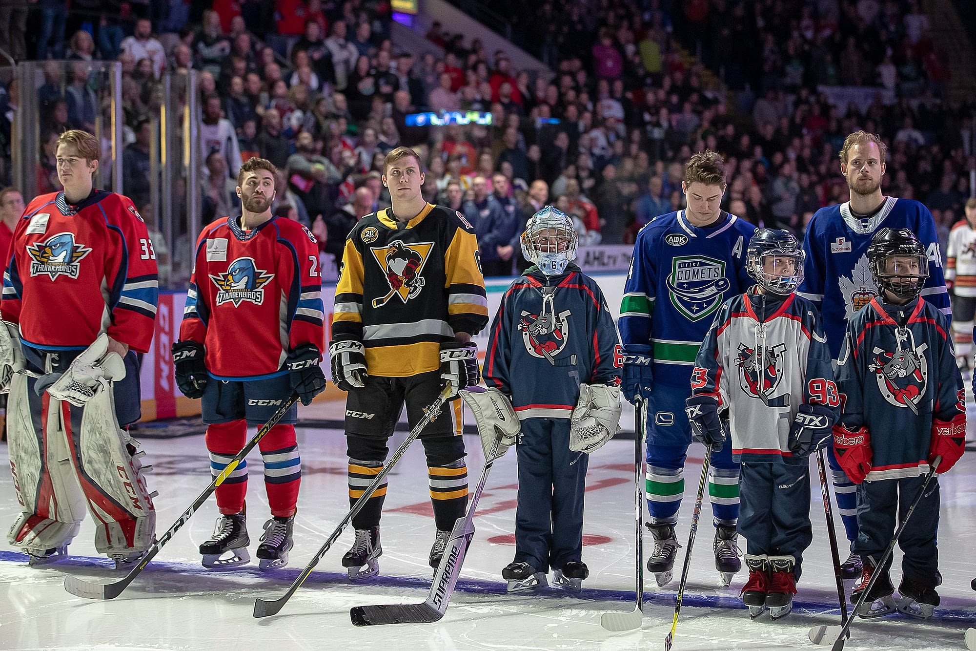 NHL Minor League Hockey Team Affiliates Breakdown - FloHockey